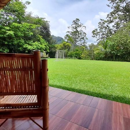 Hospedaje Amanecer Bed & Breakfast Turrialba Ngoại thất bức ảnh